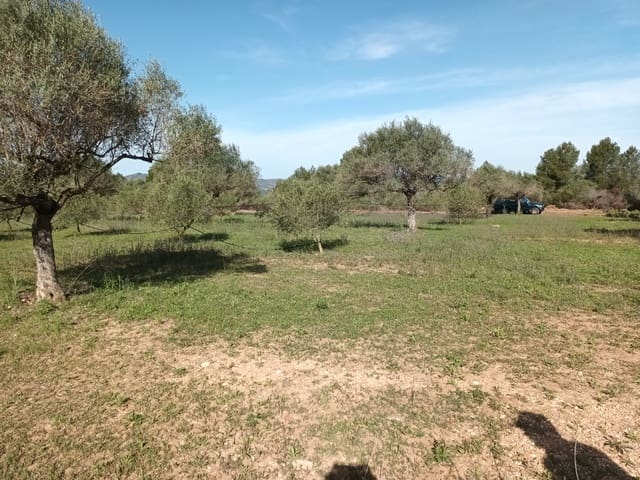 Finca/Country House for sale in Ginestar - € 29,000 (Ref: 6783787)