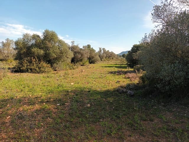 Finca/Country House for sale in Ginestar - € 29,000 (Ref: 6783787)