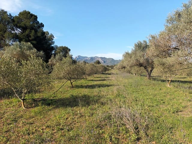 Finca/Country House for sale in Ginestar - € 29,000 (Ref: 6783787)