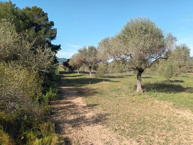 Finca/Country House for sale in Ginestar - € 29,000 (Ref: 6783787)