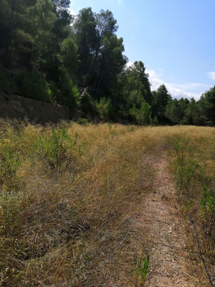 Finca/Landehus til salg i Ginestar - € 11.000 (Ref: 6850696)