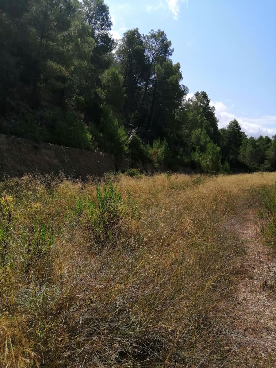 Finca/Landehus til salg i Ginestar - € 11.000 (Ref: 6850696)