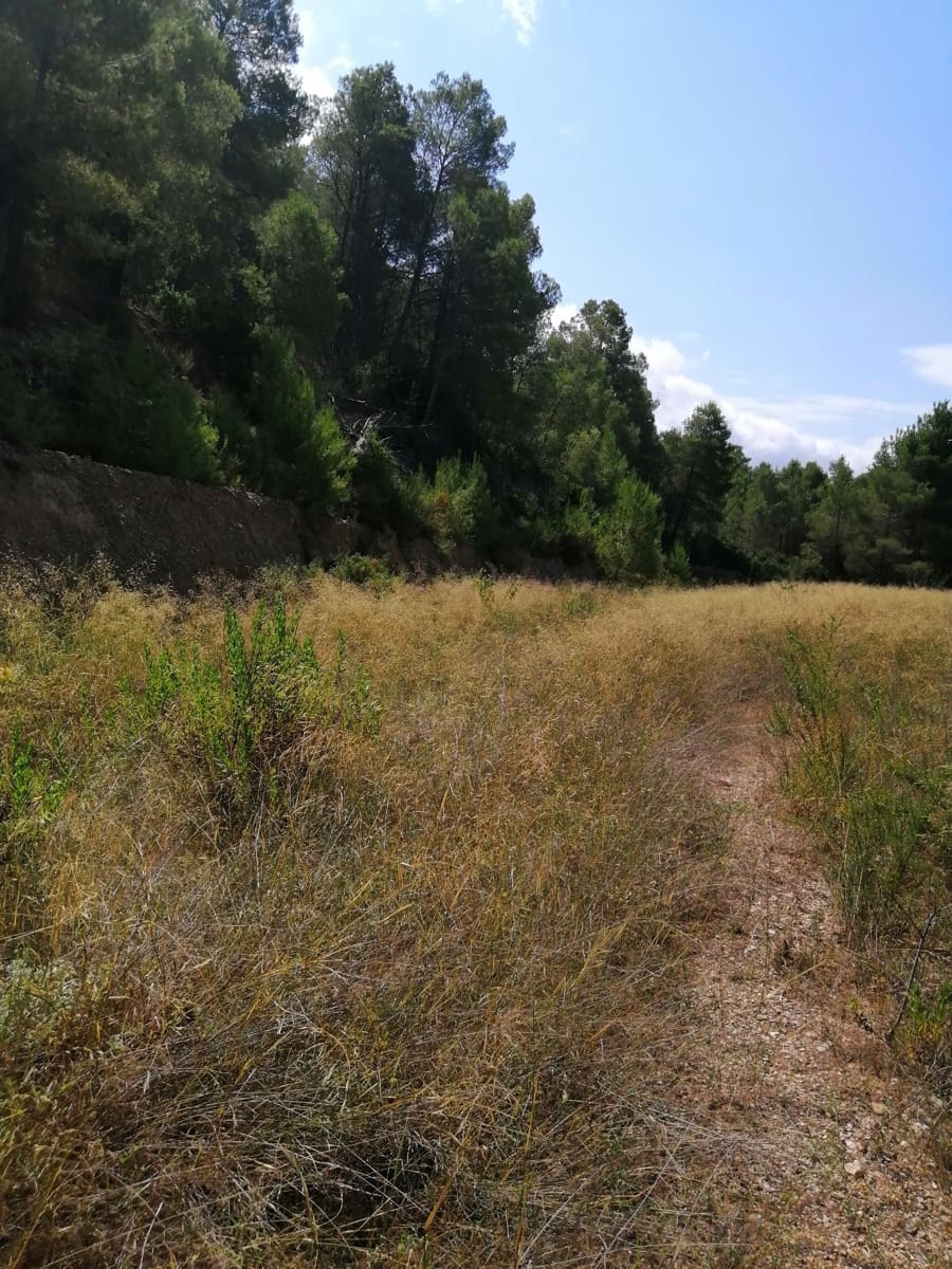 Finca/Landehus til salg i Ginestar - € 11.000 (Ref: 6850696)