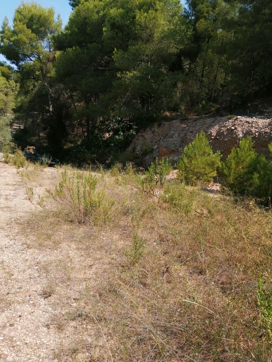 Finca/Landehus til salg i Ginestar - € 11.000 (Ref: 6850696)