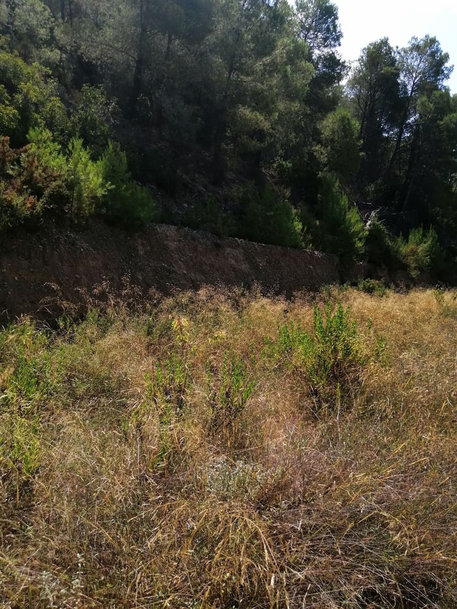 Finca/Landehus til salg i Ginestar - € 11.000 (Ref: 6850696)