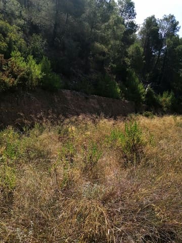 Finca/Herregård til salgs i Ginestar - € 11 000 (Ref: 6850696)