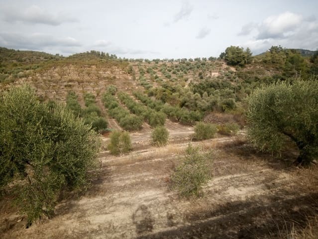 Finka/Dom wiejski na sprzedaż w Tivissa - 49 000 € (Ref: 7179909)