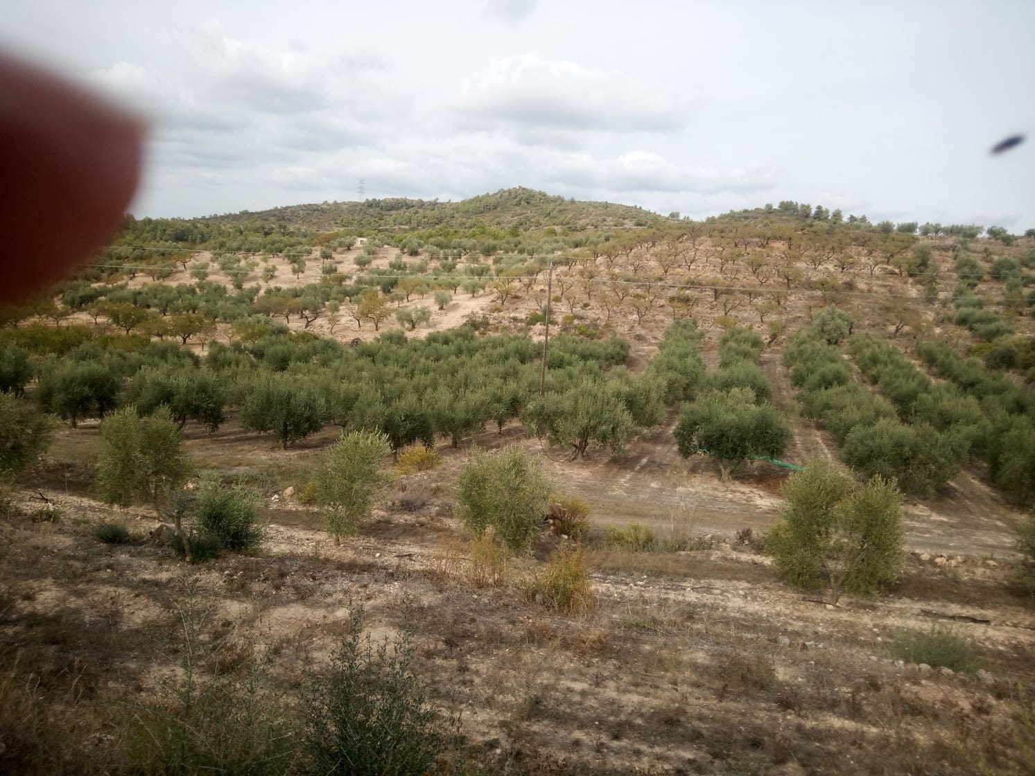 Finca/Landehus til salg i Tivissa - € 49.000 (Ref: 7179909)