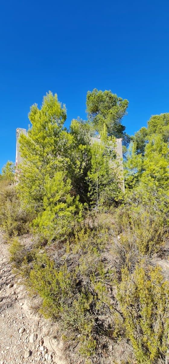 Finca/Country House for sale in Miravet - € 27,800 (Ref: 7180276)