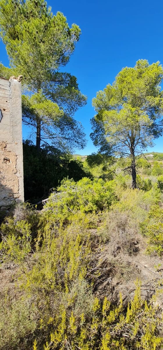 Finca/Country House for sale in Miravet - € 27,800 (Ref: 7180276)