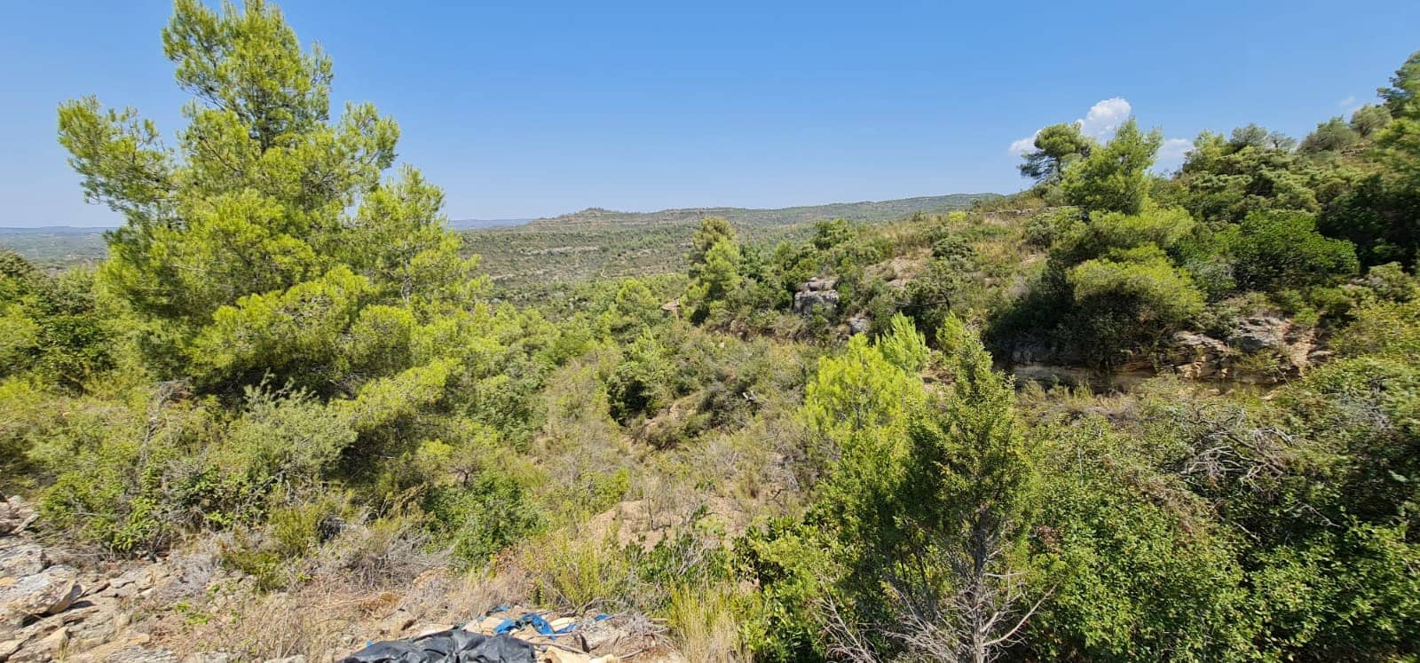 Finca/Landehus til salg i La Torre de l'Espanyol - € 17.500 (Ref: 7180286)