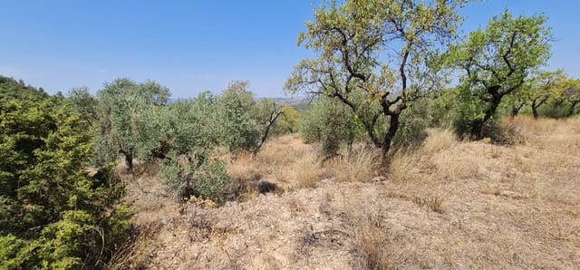 Finca/Landhuis te koop in La Torre de l'Espanyol - € 17.500 (Ref: 7180286)