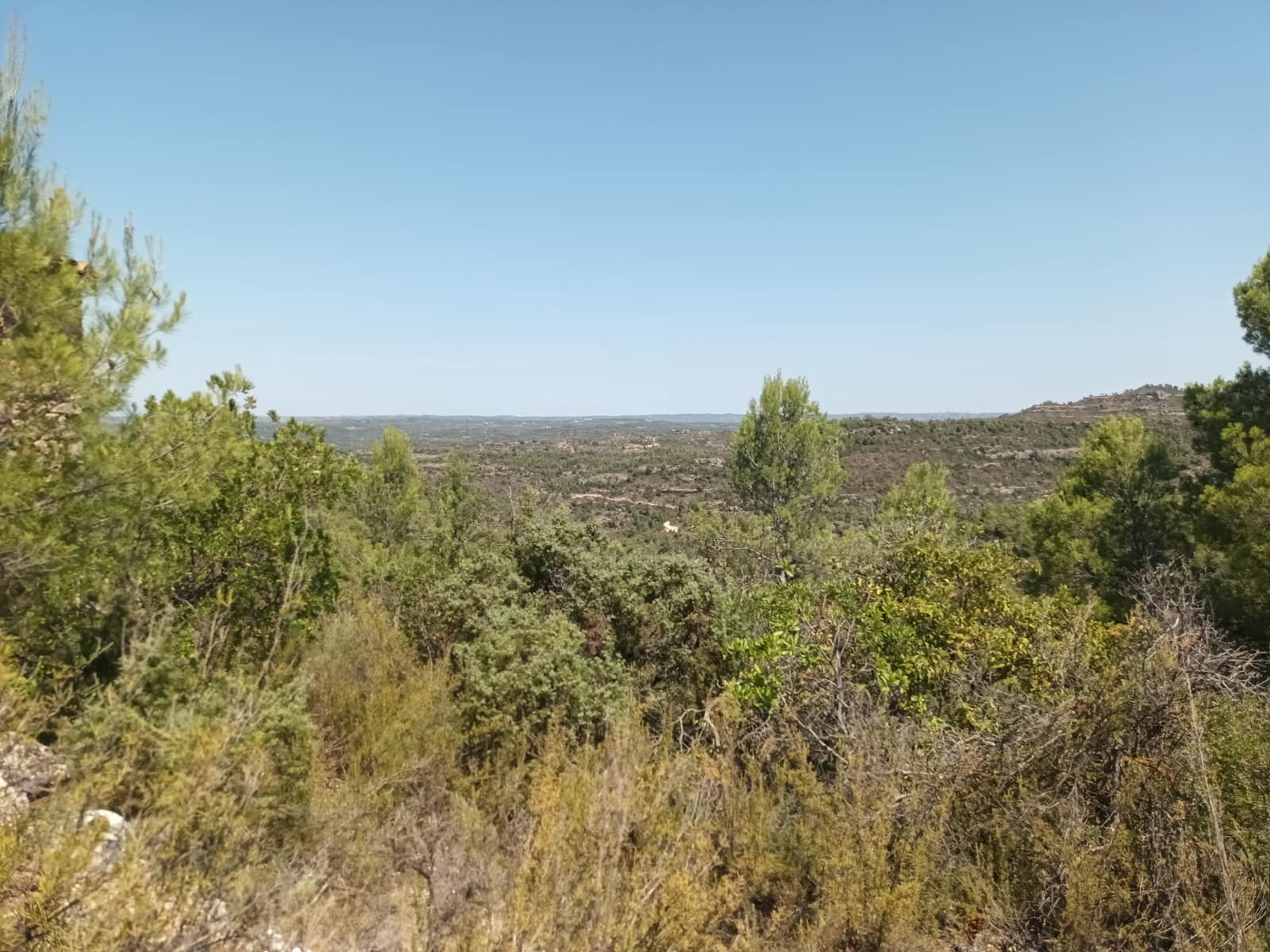 Finca/Landehus til salg i La Torre de l'Espanyol - € 17.500 (Ref: 7180286)