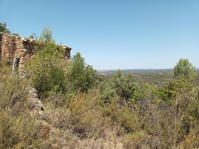 Finca/Landhuis te koop in La Torre de l'Espanyol - € 17.500 (Ref: 7180286)