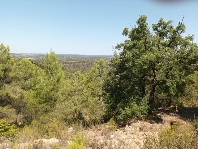 Finca/Landhuis te koop in La Torre de l'Espanyol - € 17.500 (Ref: 7180286)