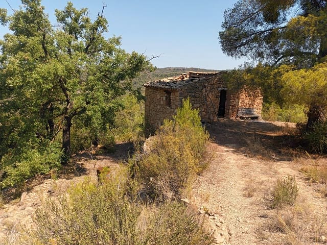 Finca/Landhuis te koop in La Torre de l'Espanyol - € 17.500 (Ref: 7180286)