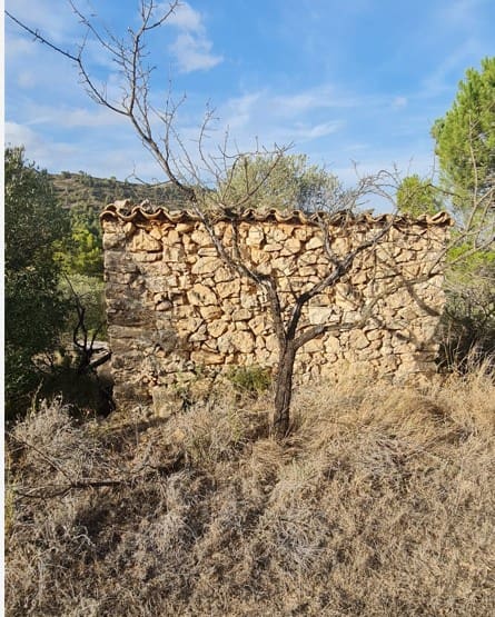 Finca/Country House for sale in Benissanet - € 15,000 (Ref: 7197323)