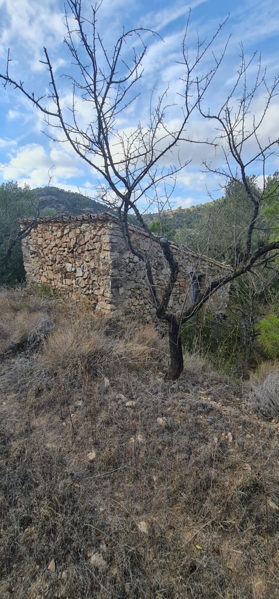 Finca/Country House for sale in Benissanet - € 15,000 (Ref: 7197323)