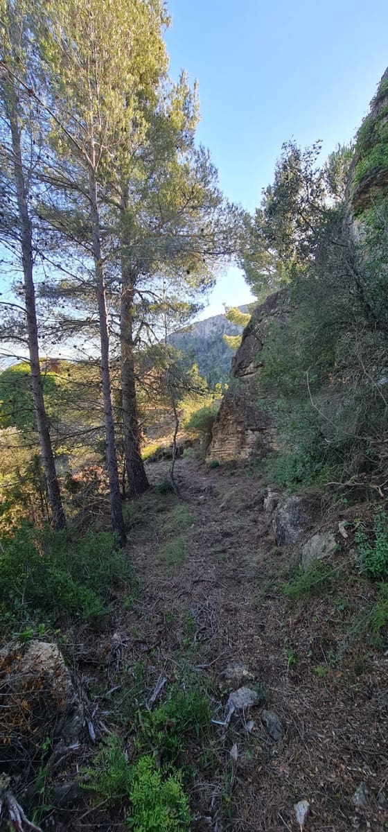 Finca/Landehus til salg i Asco - € 49.000 (Ref: 7374354)