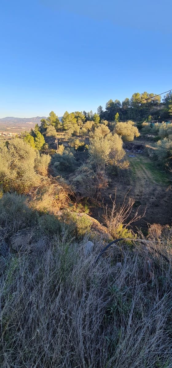 Finca/Landehus til salg i Asco - € 49.000 (Ref: 7374354)