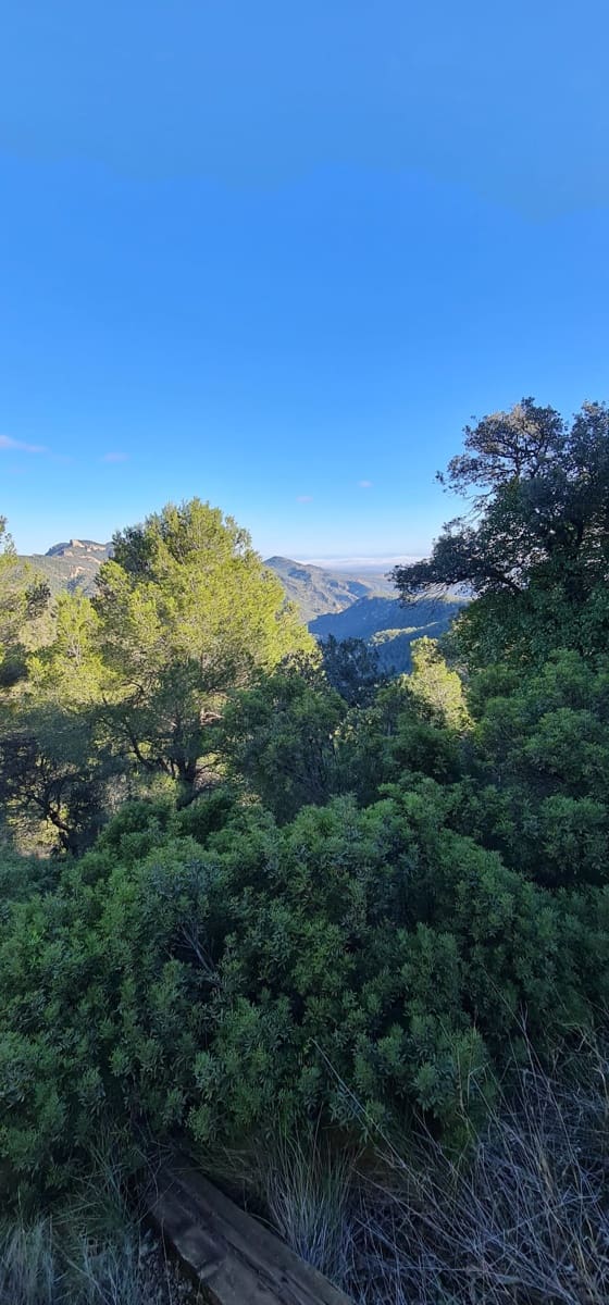 Finca/Landehus til salg i Asco - € 49.000 (Ref: 7374354)