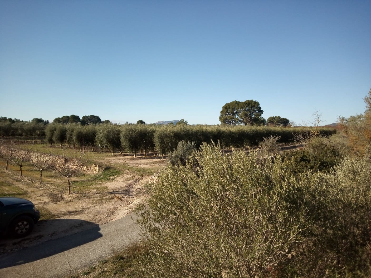 3 soveværelse Finca/Landehus til salg i Mora d'Ebre - € 80.000 (Ref: 7396499)