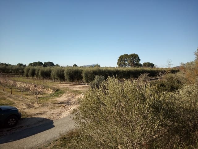 3 bedroom Finca/Country House for sale in Móra d'Ebre - € 80,000 (Ref: 7396499)