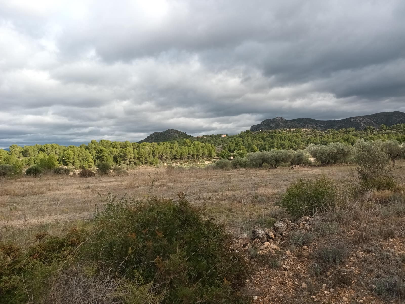 Finca/Landehus til salg i Ginestar - € 25.000 (Ref: 7482375)