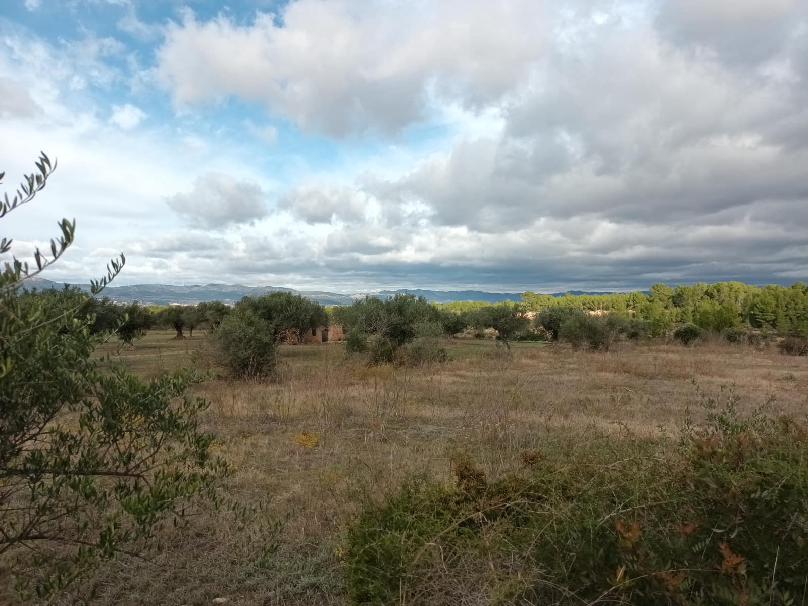 Finca/Landehus til salg i Ginestar - € 25.000 (Ref: 7482375)