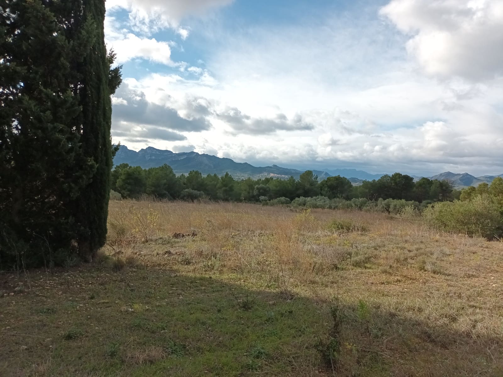 Finca/Landehus til salg i Ginestar - € 25.000 (Ref: 7482375)