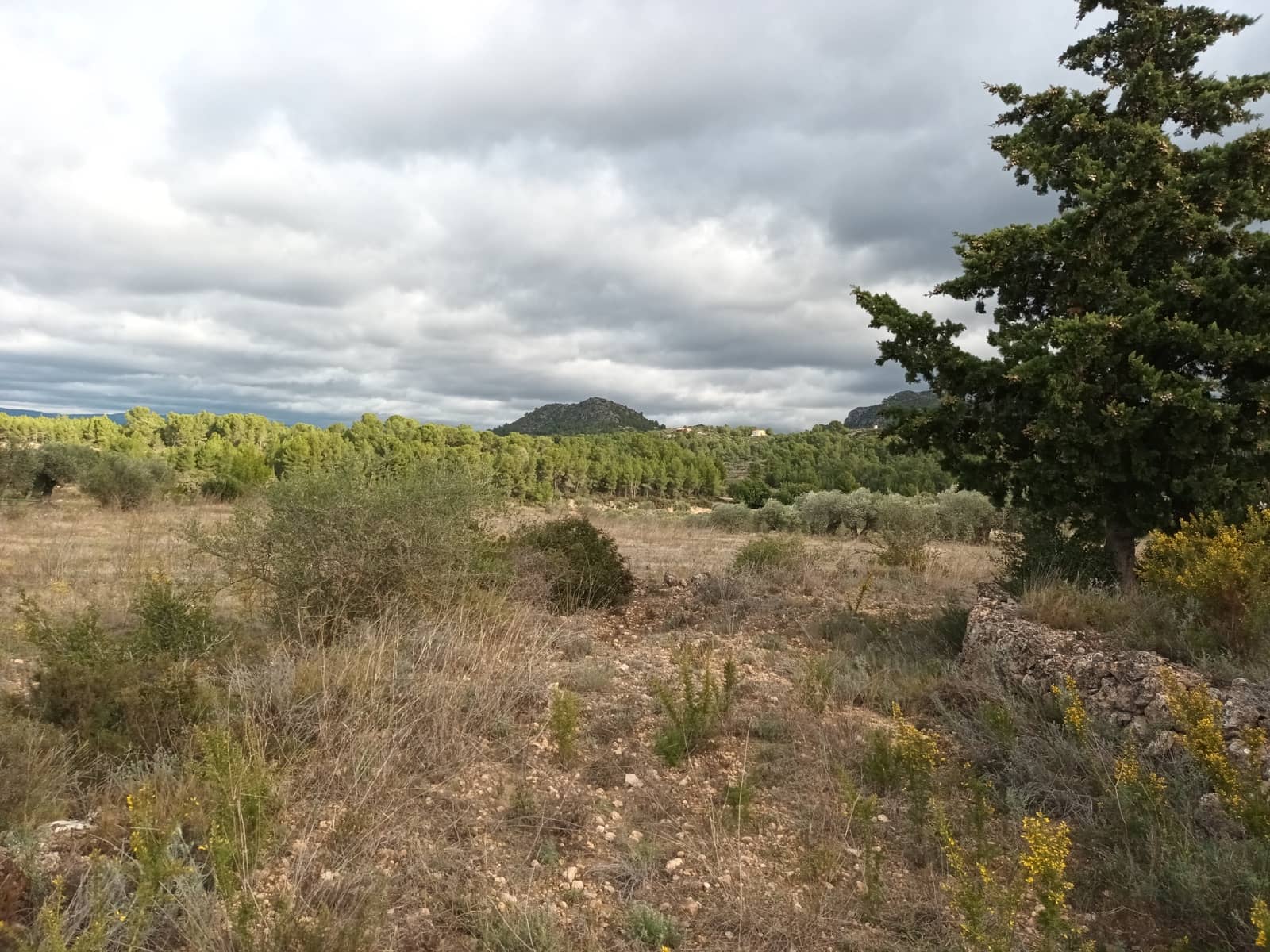 Finca/Landehus til salg i Ginestar - € 25.000 (Ref: 7482375)