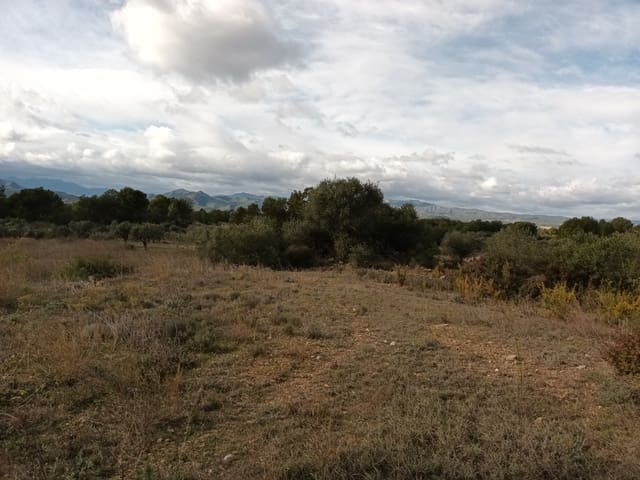 Finca/Country House for sale in Ginestar - € 25,000 (Ref: 7482375)