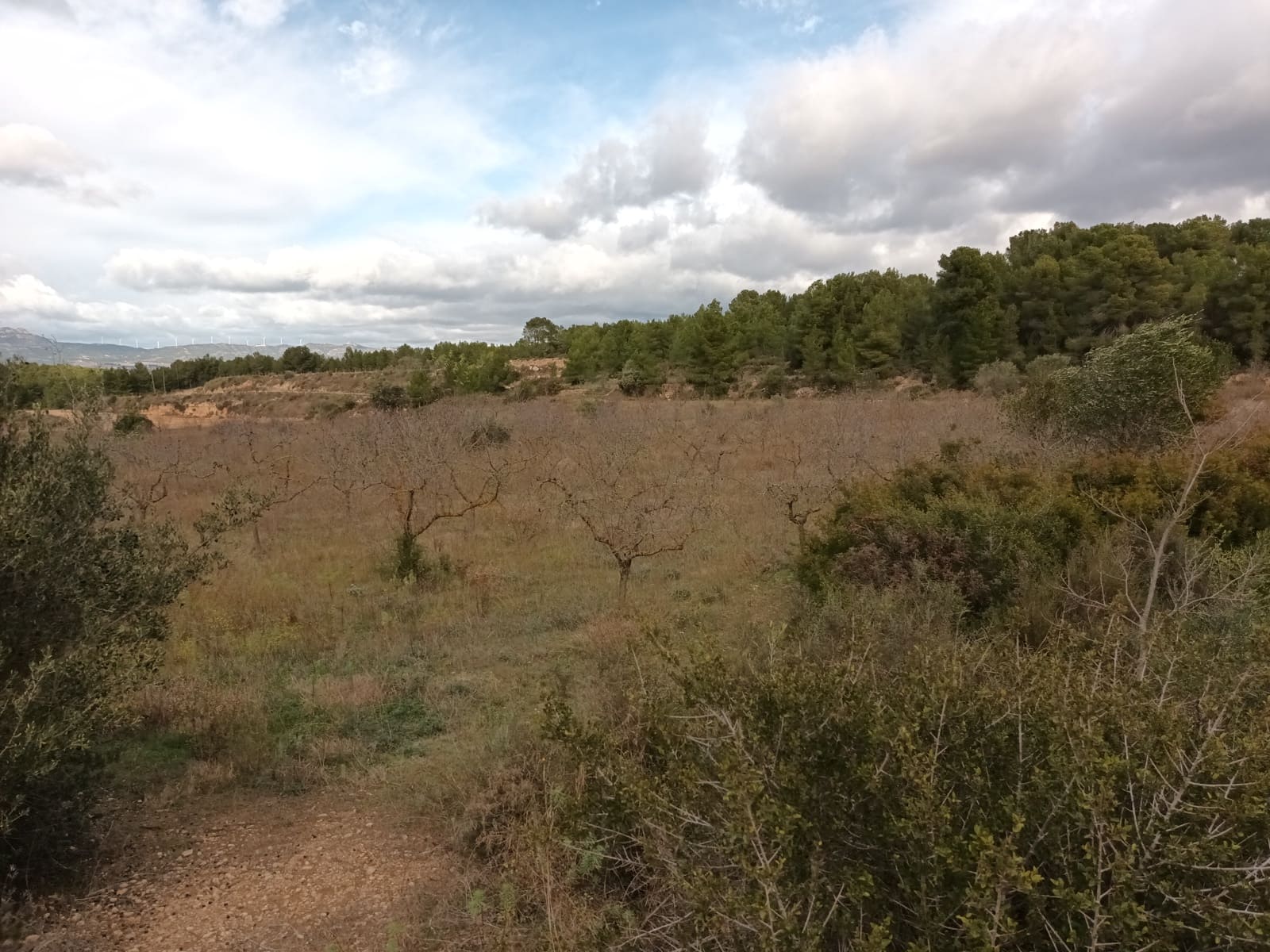 Finca/Landehus til salg i Ginestar - € 25.000 (Ref: 7482375)