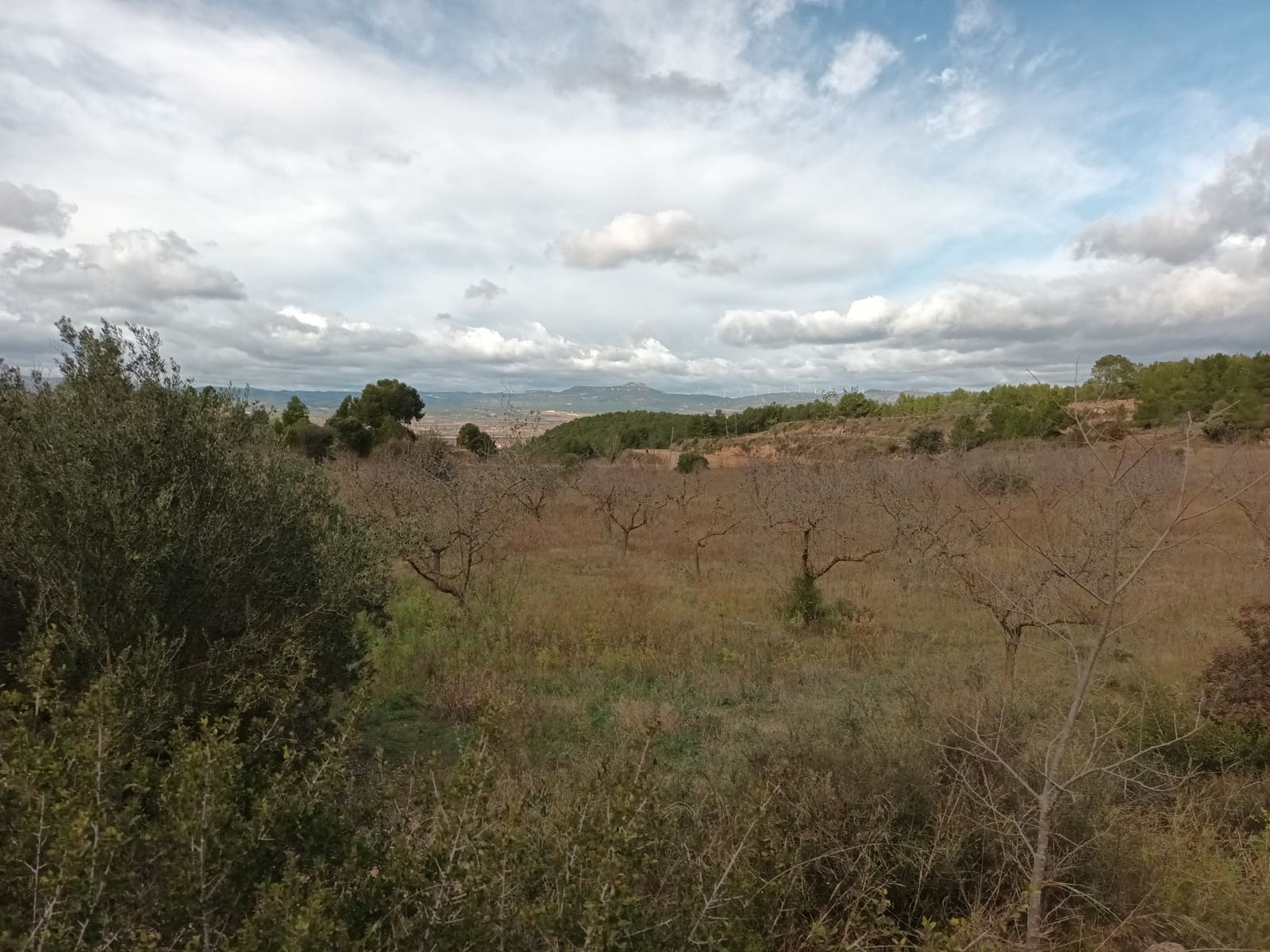 Finca/Landehus til salg i Ginestar - € 25.000 (Ref: 7482375)