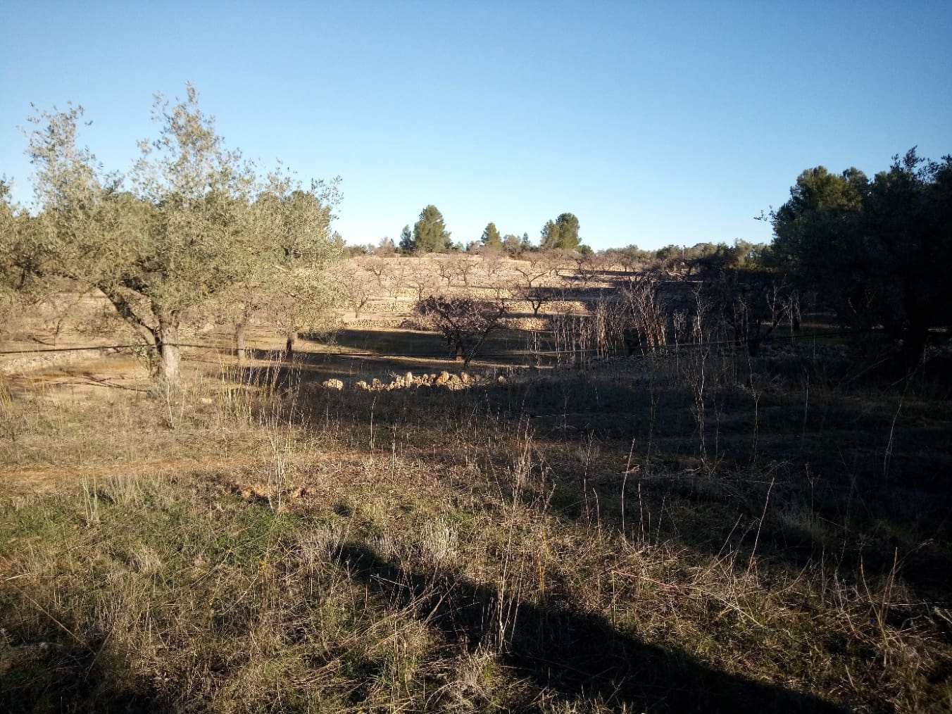 Finca/Herregård til salgs i Ginestar - € 9 000 (Ref: 7483262)