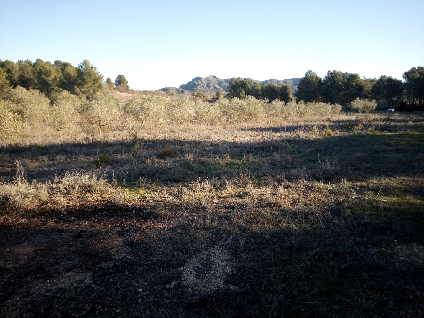 Finca/Herregård til salgs i Ginestar - € 9 000 (Ref: 7483262)