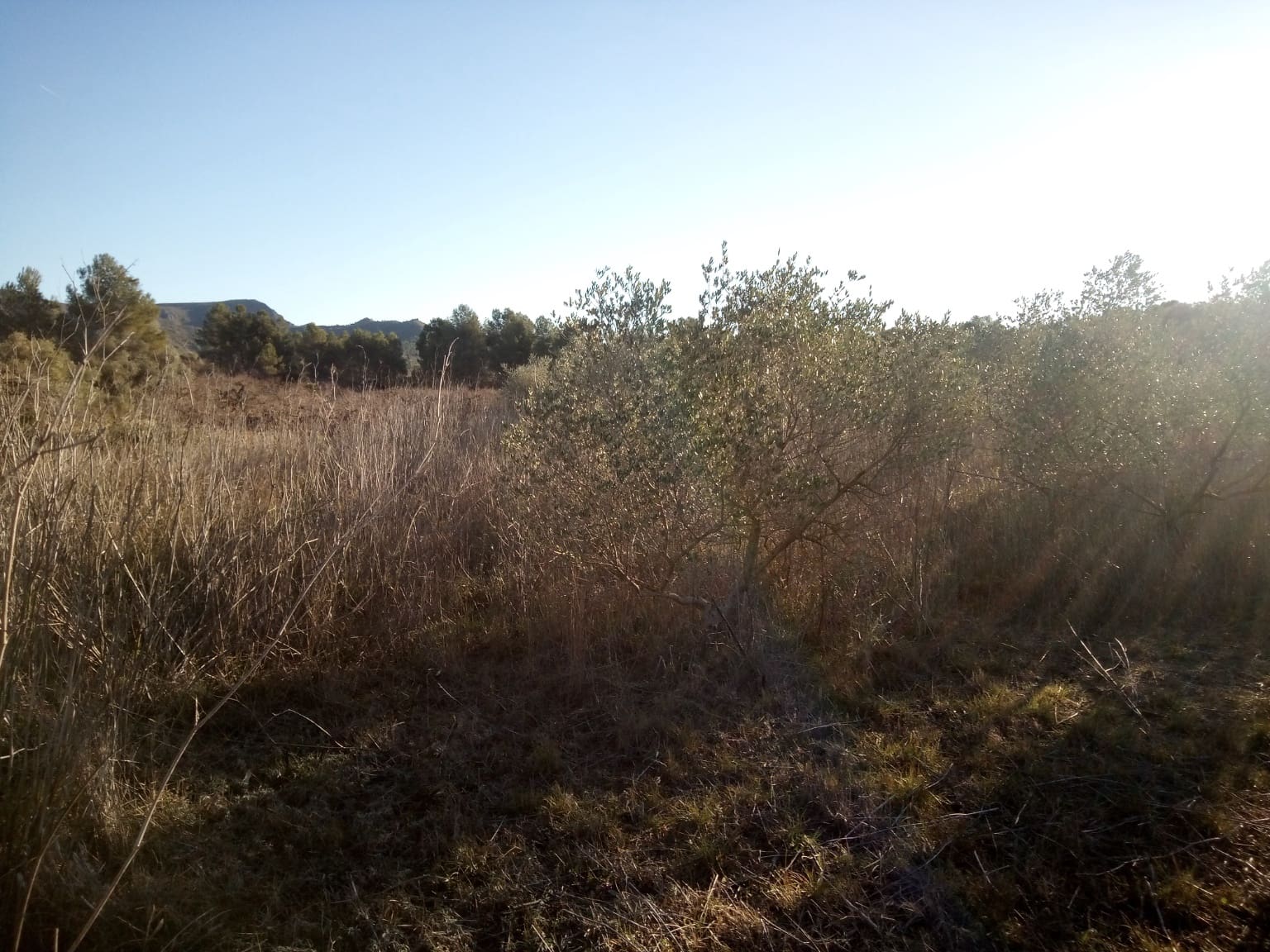 Finca/Herregård til salgs i Ginestar - € 9 000 (Ref: 7483262)