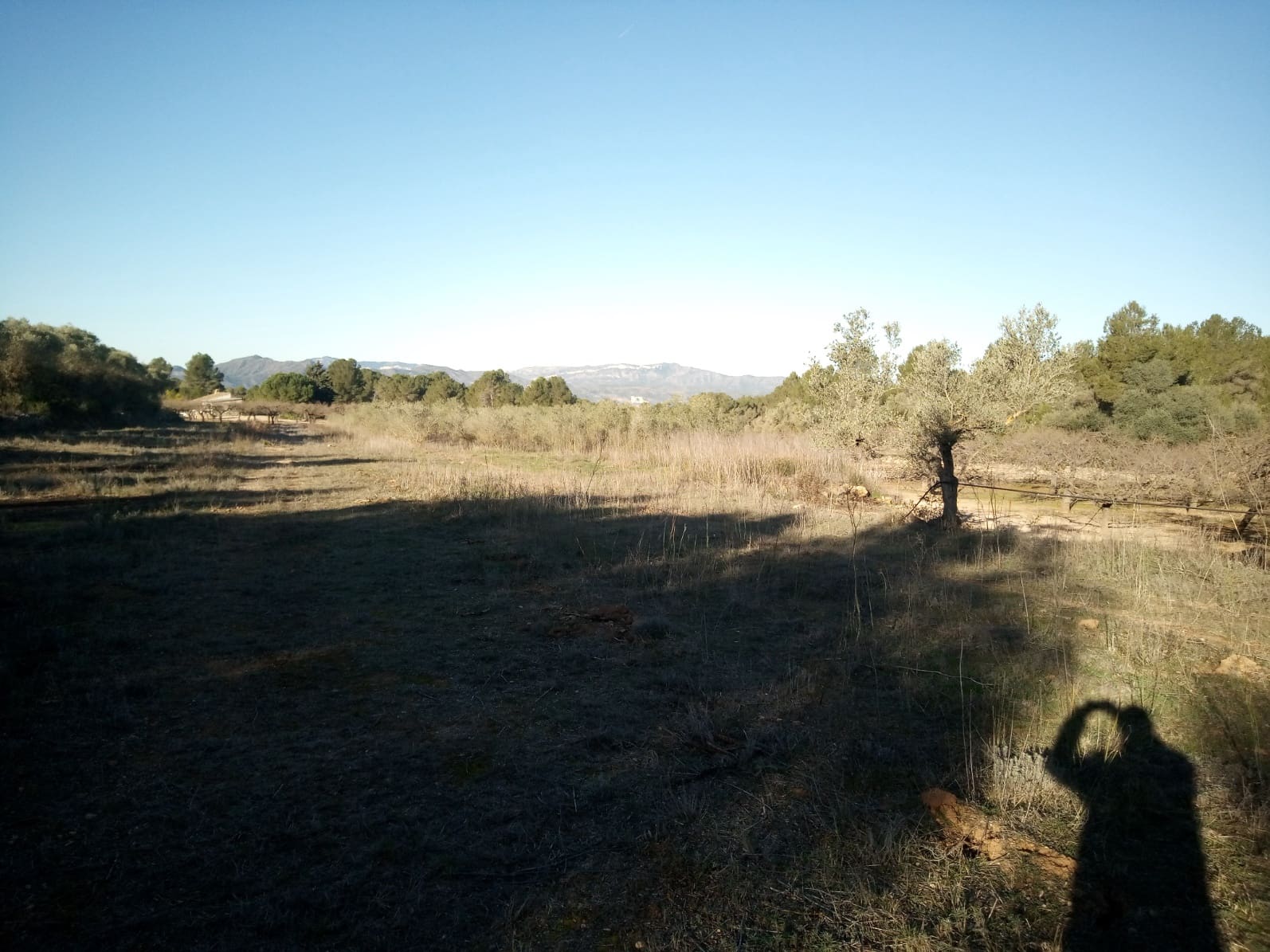 Finca/Herregård til salgs i Ginestar - € 9 000 (Ref: 7483262)