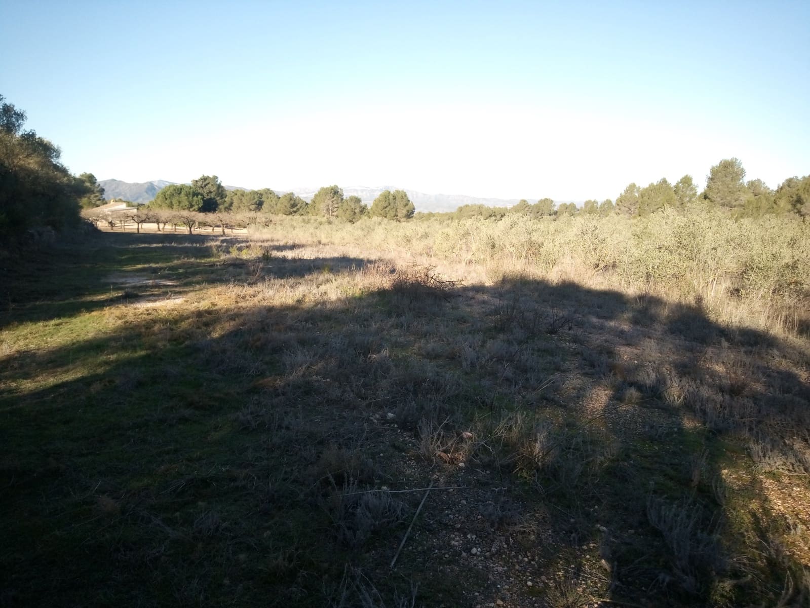 Finca/Herregård til salgs i Ginestar - € 9 000 (Ref: 7483262)