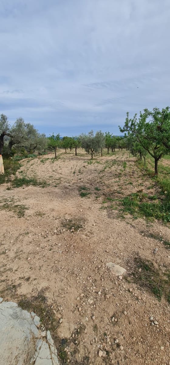 1 soveværelse Finca/Landehus til salg i Mora d'Ebre - € 45.000 (Ref: 7582229)