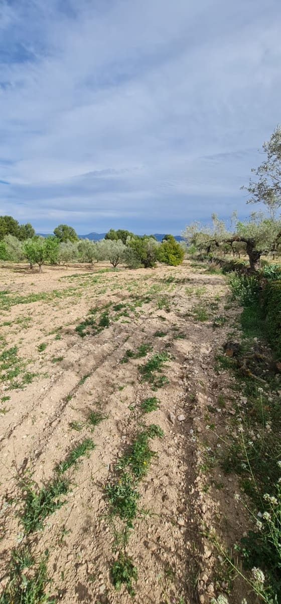 1 soveværelse Finca/Landehus til salg i Mora d'Ebre - € 45.000 (Ref: 7582229)