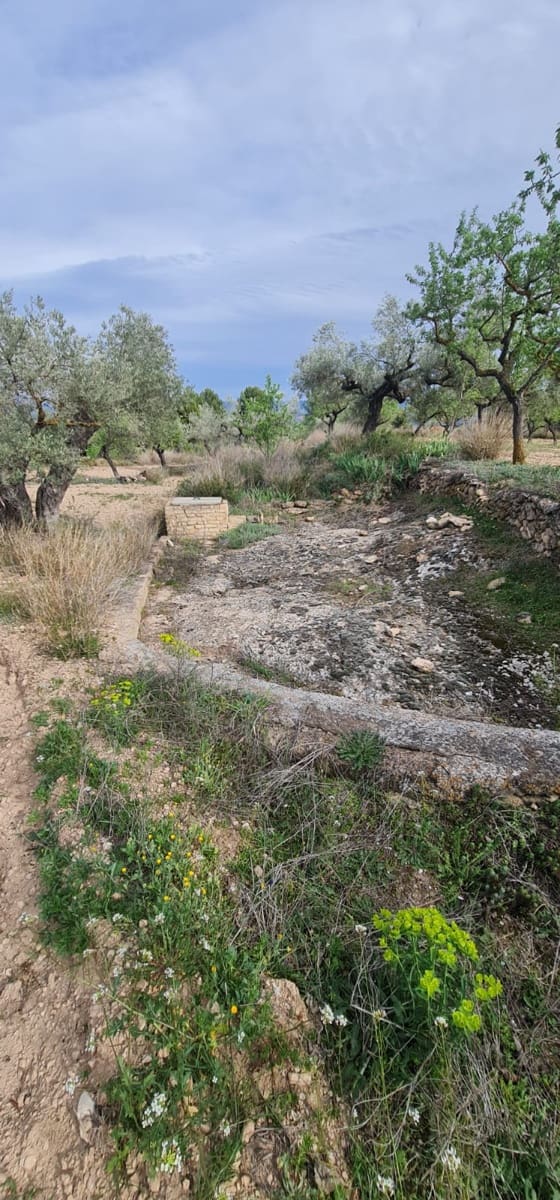 1 soveværelse Finca/Landehus til salg i Mora d'Ebre - € 45.000 (Ref: 7582229)