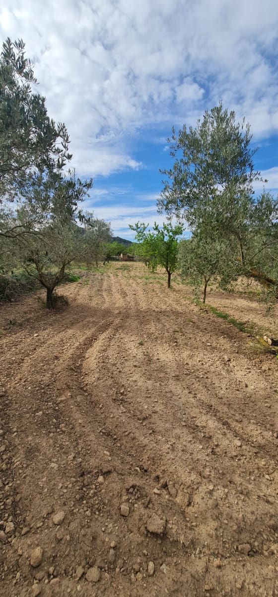 1 soveværelse Finca/Landehus til salg i Mora d'Ebre - € 45.000 (Ref: 7582229)