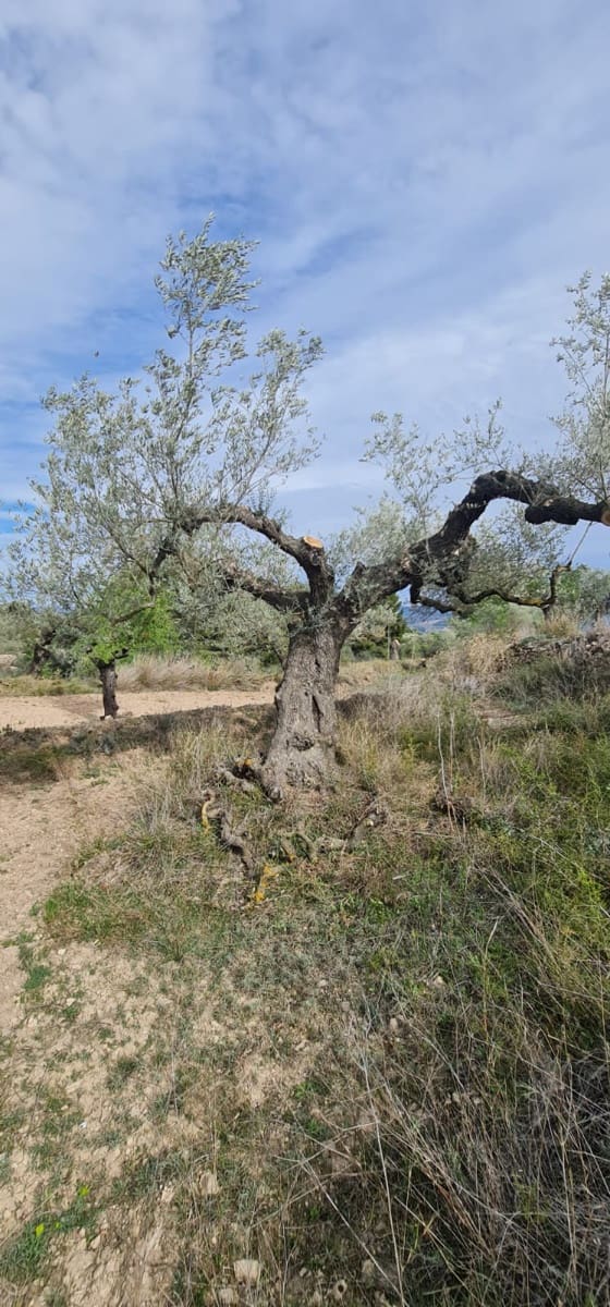1 soveværelse Finca/Landehus til salg i Mora d'Ebre - € 45.000 (Ref: 7582229)