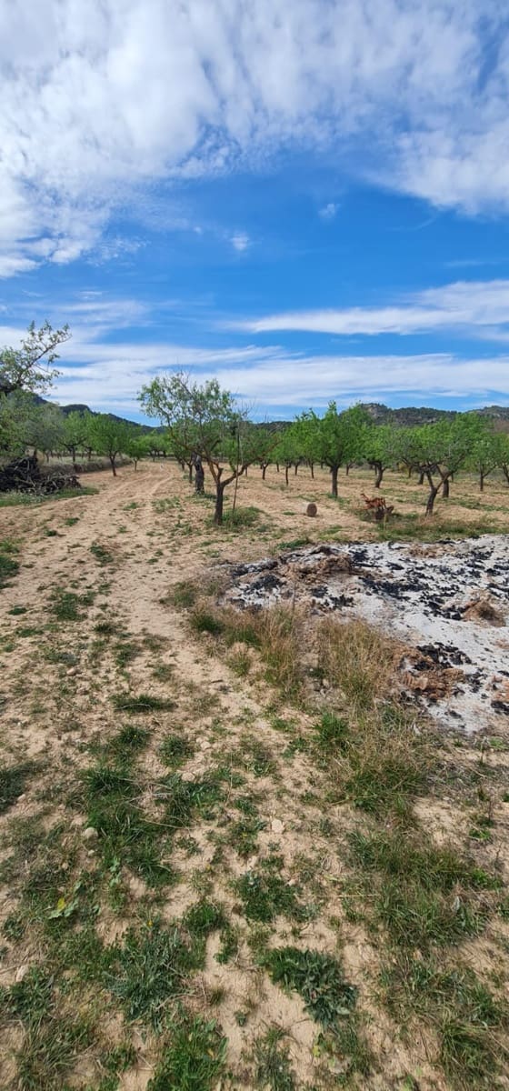 1 soveværelse Finca/Landehus til salg i Mora d'Ebre - € 45.000 (Ref: 7582229)