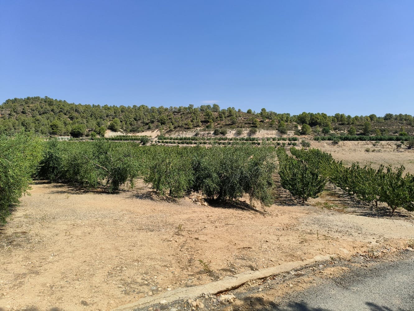 Finca/Landehus til salg i Benissanet - € 39.000 (Ref: 7760208)