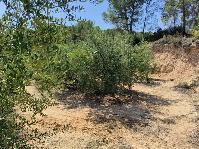 Finca/Landehus til salg i Benissanet - € 39.000 (Ref: 7760208)