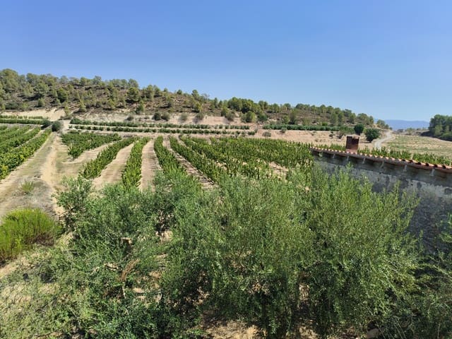 Finca/Landehus til salg i Benissanet - € 39.000 (Ref: 7760208)