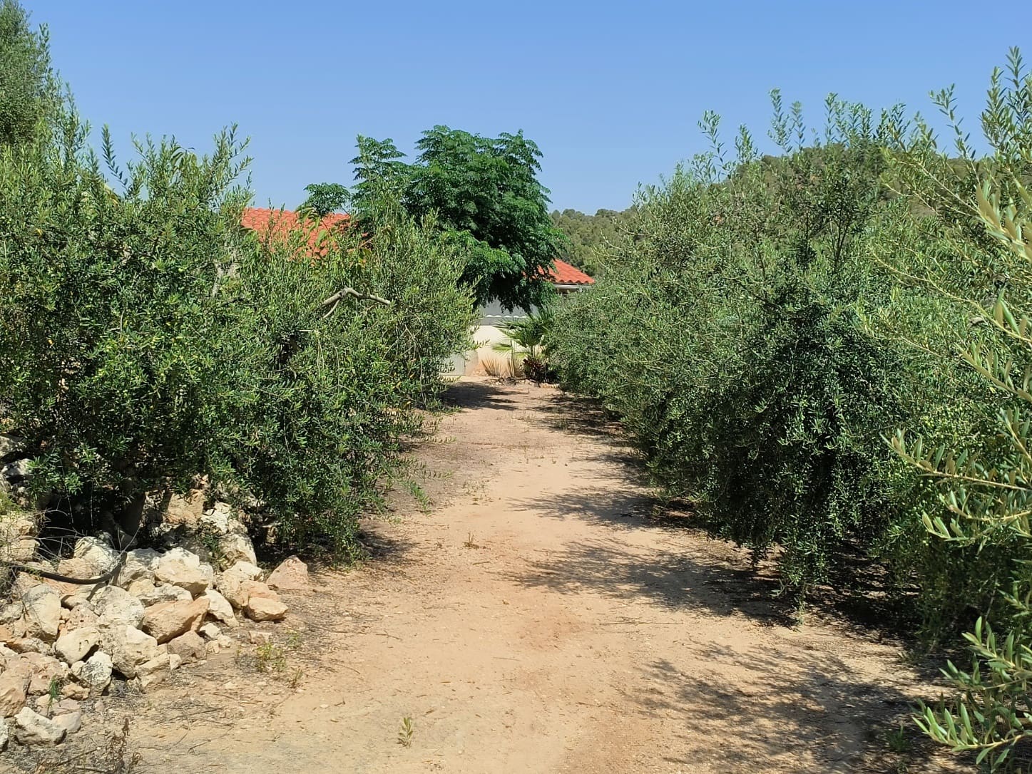 Finca/Landehus til salg i Benissanet - € 39.000 (Ref: 7760208)