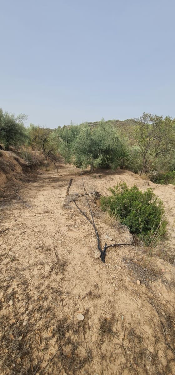 Finca/Landehus til salg i La Torre de l'Espanyol - € 27.500 (Ref: 7802772)